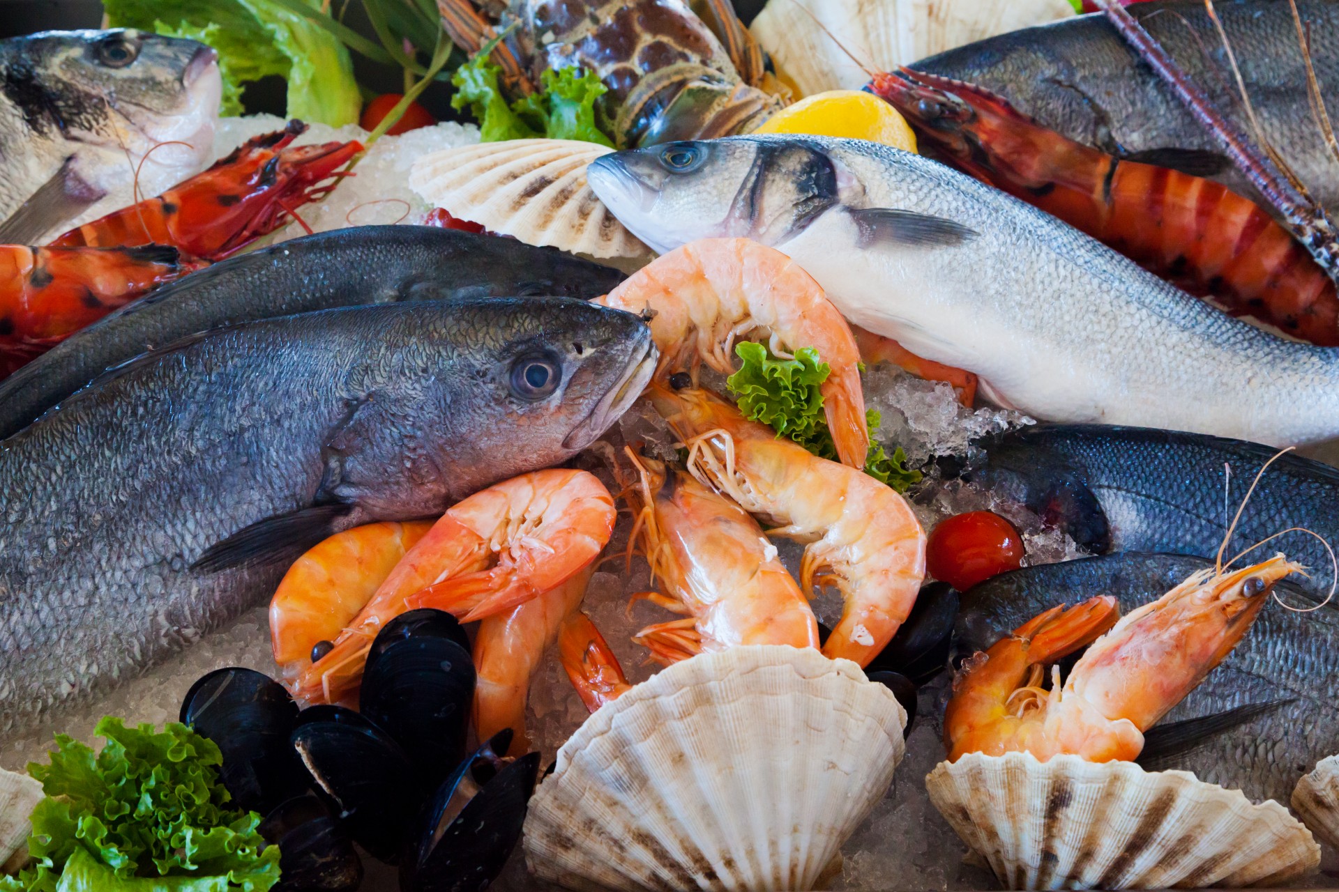 Gfresh Secures US$20 Million From Riverhill Fund And Legend Capital To Import Seafood In China