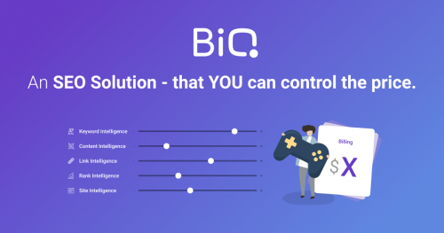 Use BiQ SEO Suite to simplify your work