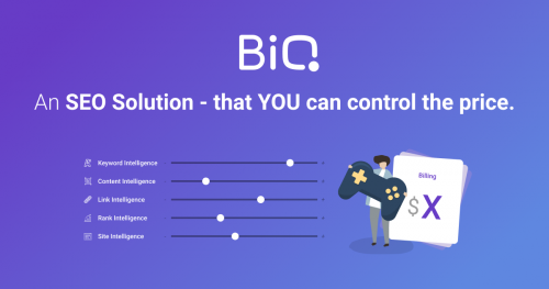 BiQ SEO Solution