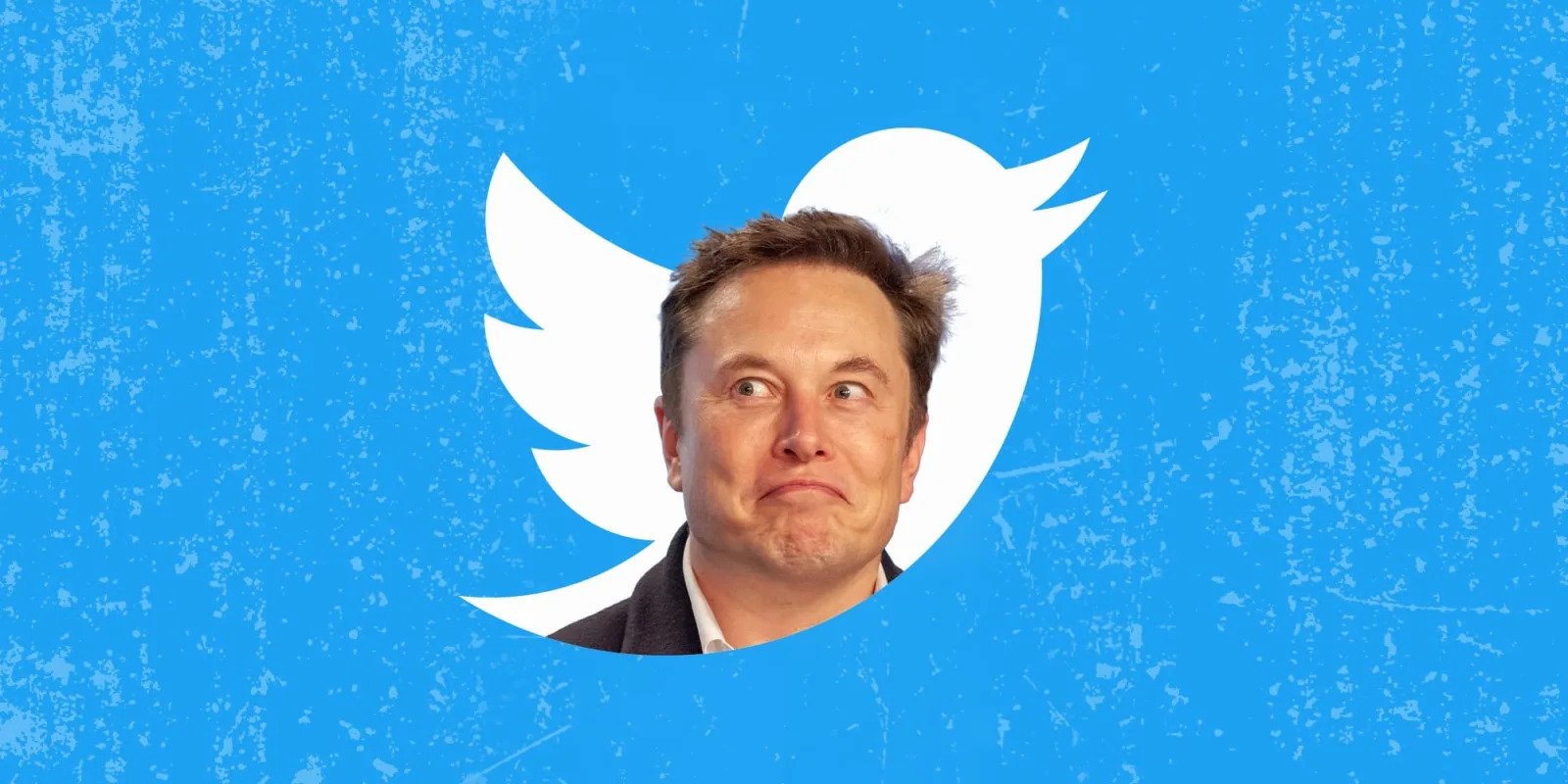 Verified Accounts On Twitter Sees Major Change, Among Others, Following Elon Musk’s Takeover